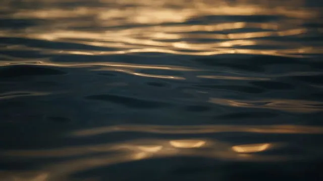 Golden evening light rippling across calm dark water